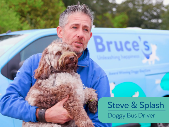 Bruce’s Doggy Day Care | Promotional video